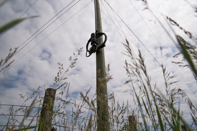 Không phải Trung Quốc, đây mới là lý do thực sự khiến Mỹ bị mất ưu thế trong phát triển công nghệ - Ảnh 5.