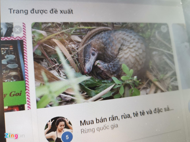 Facebook tiep tay mua ban dong vat quy o Viet Nam hinh anh 2 