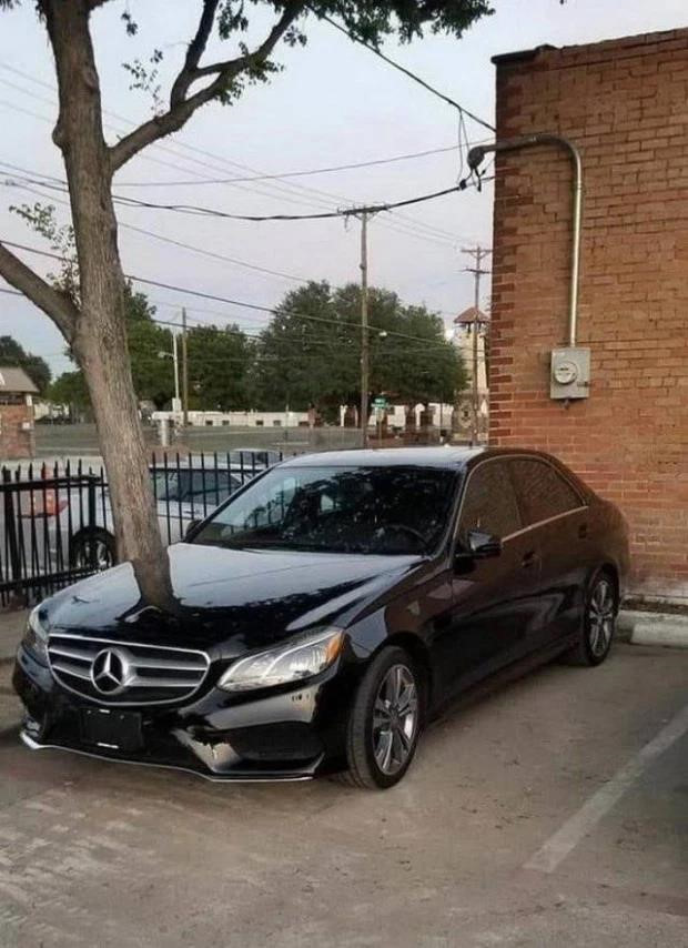 Ban co tu tin khong bi 'lu', hieu nham khi xem loat anh nay? hinh anh 5