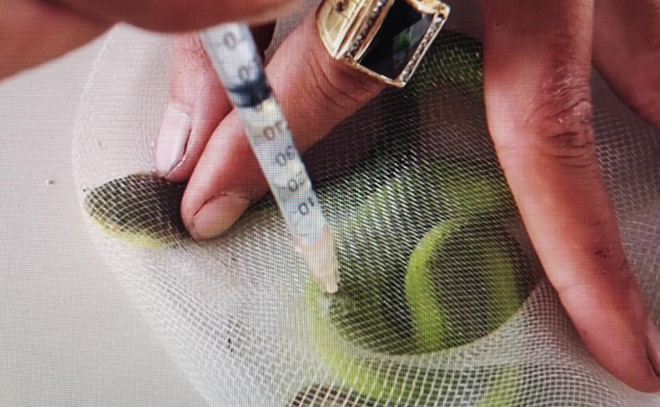 YouTuber VN hanh ha ran sach do gay xon xao hinh anh 1