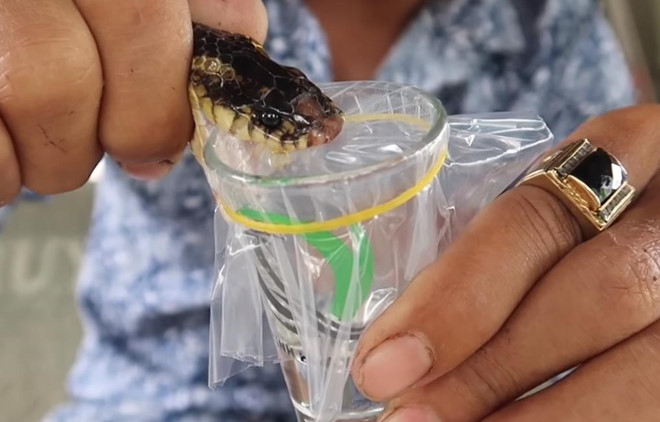 YouTuber VN hanh ha ran sach do gay xon xao hinh anh 2