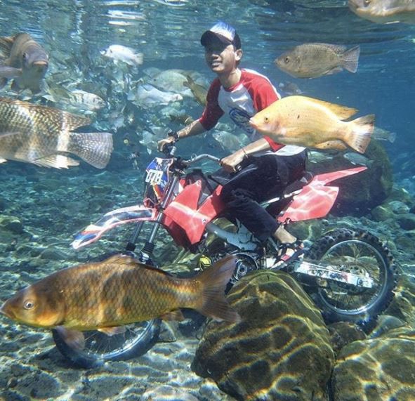 Dân du lịch Indonesia đổ xô đến sống ảo dưới nước tại ngôi làng có một không hai này - Ảnh 4.