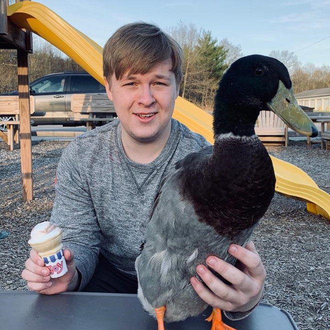 Con vit 2,9 trieu fan den nhung tro lua dao khieu dam tren TikTok hinh anh 1