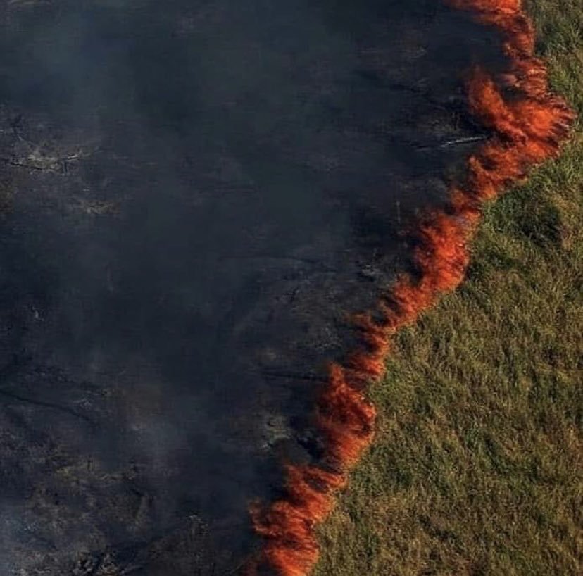 Tìm đám cháy rừng Amazon trên Google, kết quả cho ra toàn... máy tính bảng - Ảnh 7.