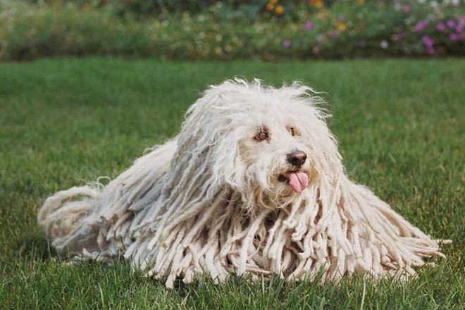 Day la nhung 'Cau Vang' cua Mark Zuckerberg, Bill Gates hinh anh 12