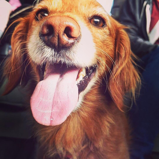 Day la nhung 'Cau Vang' cua Mark Zuckerberg, Bill Gates hinh anh 11