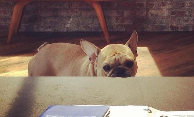 Day la nhung 'Cau Vang' cua Mark Zuckerberg, Bill Gates hinh anh 9