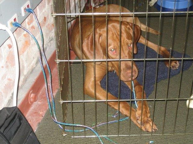 Day la nhung 'Cau Vang' cua Mark Zuckerberg, Bill Gates hinh anh 8