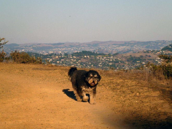 Day la nhung 'Cau Vang' cua Mark Zuckerberg, Bill Gates hinh anh 7