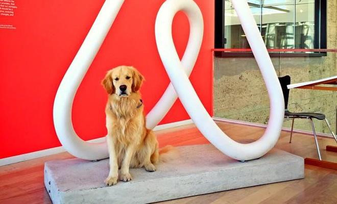 Day la nhung 'Cau Vang' cua Mark Zuckerberg, Bill Gates hinh anh 4