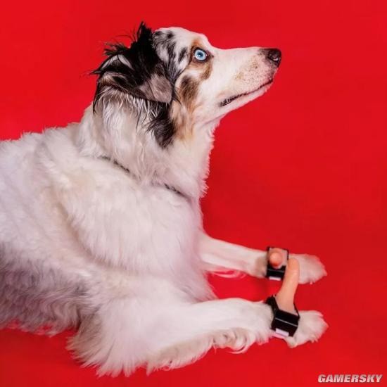 Gặp gỡ thanh niên chuyên phát minh mấy thứ nhảm nhí, được cái có tính giải trí cao - Ảnh 32.