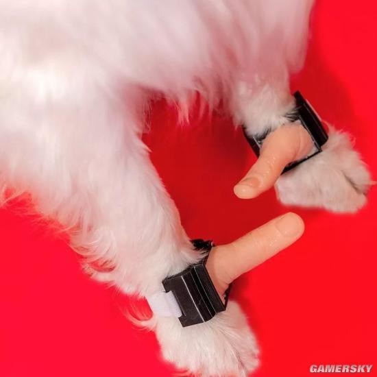 Gặp gỡ thanh niên chuyên phát minh mấy thứ nhảm nhí, được cái có tính giải trí cao - Ảnh 33.