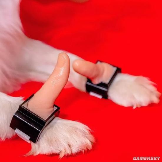 Gặp gỡ thanh niên chuyên phát minh mấy thứ nhảm nhí, được cái có tính giải trí cao - Ảnh 34.