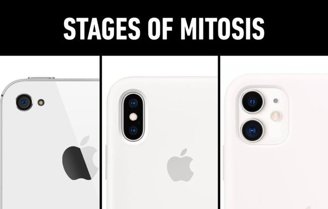 Khi hội chuyên Sinh chế ảnh iPhone 11: Chỉ những người