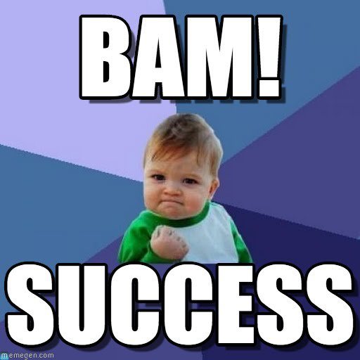 Success Meme Risa 10 meme nổi tiếng nhất Internet, chắc chắn ai cũng 'kinh qua' một lần