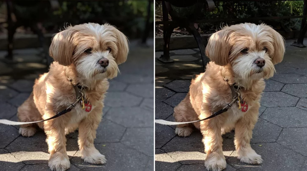 Vi sao Google Pixel thu hut dan cong nghe du thiet ke xau, hay loi? hinh anh 3