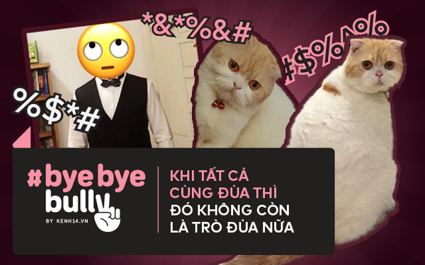 Từ cơn giận dữ trên MXH với câu chuyện hỏi mua mèo: Giữa một đám đông mất kiểm soát, ai giữ được bình tĩnh để lùi một bước thì người đó thắng!