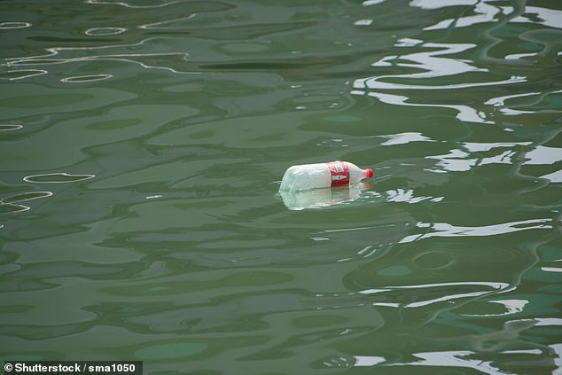 Coca-Cola gay o nhiem rac thai nhua nhieu nhat the gioi hinh anh 3 