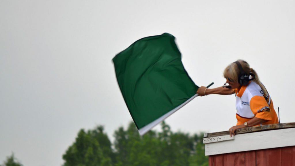 Y nghia cac loai co trong giai dua F1 - co VN co the la co xuat phat hinh anh 3