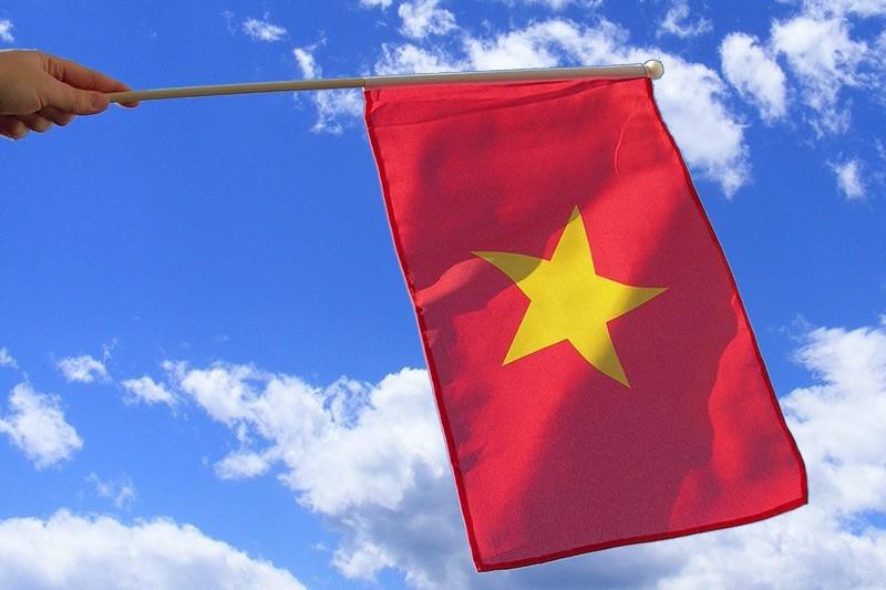 Y nghia cac loai co trong giai dua F1 - co VN co the la co xuat phat hinh anh 11