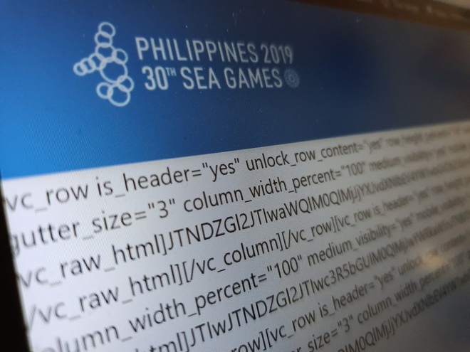 Fan Viet buc xuc vi xem SEA Games 30 nhu phim hoat hinh hinh anh 2