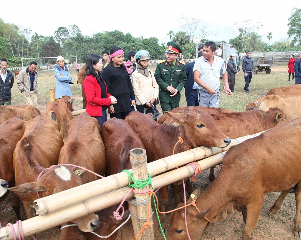 Viettel trao tặng bò giống cho hộ nghèo ở huyện Bá Thước,Thanh Hóa