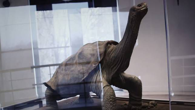 Đây là danh sách toàn bộ 160 loài sinh vật đã tuyệt chủng trong thập niên 2010 - Ảnh 3.