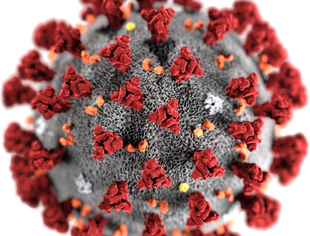 Tổng hợp kiến thức về virus Corona mới ở Vũ Hán