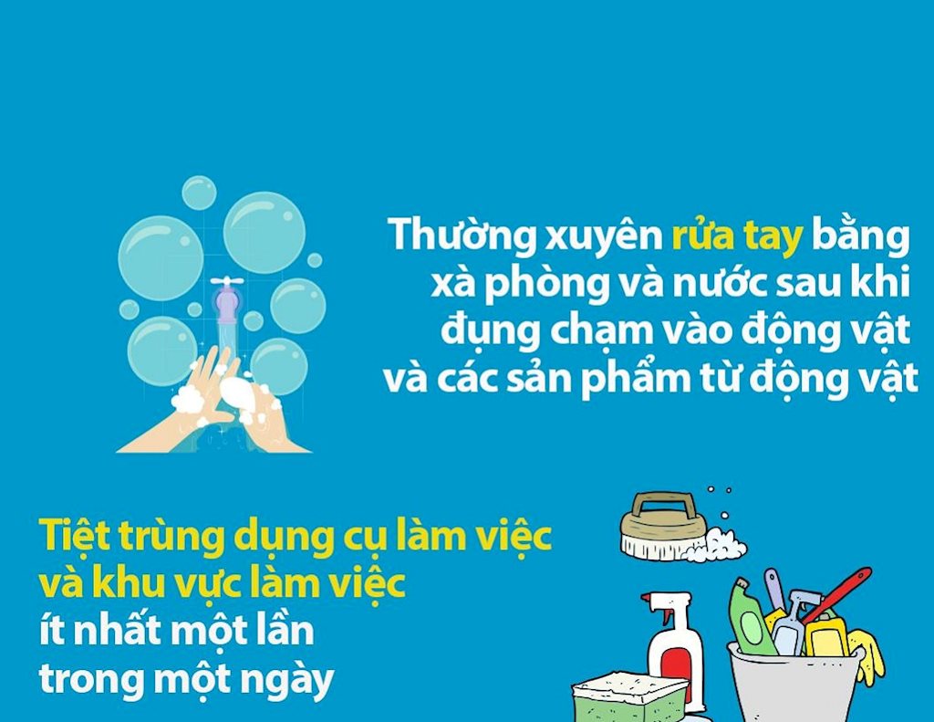 Tổng hợp infographic khuyến cáo từ WHO để mỗi người tự bảo vệ trước 2019-nCoV