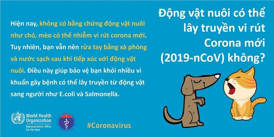 WHO trả lời 14 thắc mắc giúp bạn phòng lây nhiễm virus corona