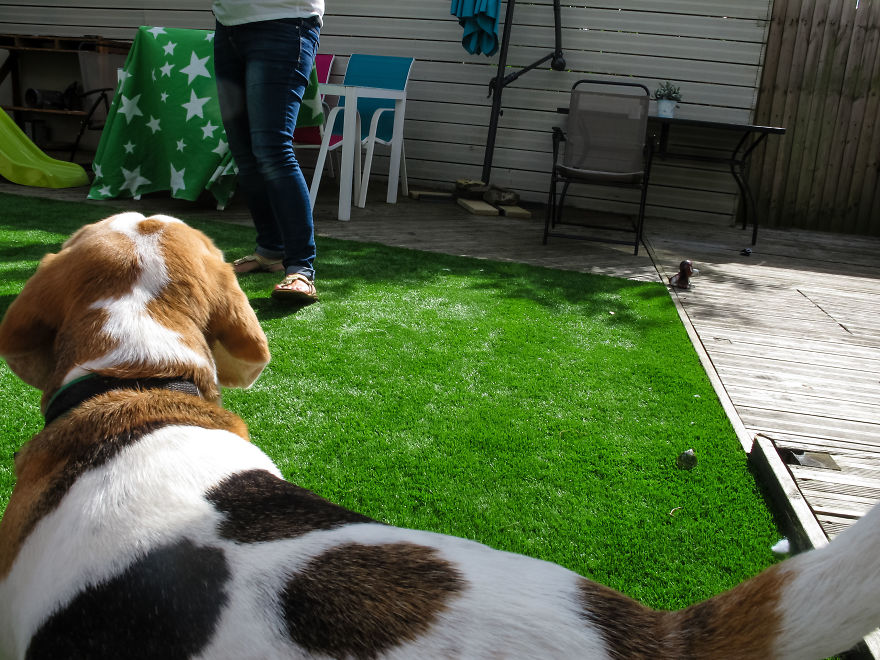 Nhiếp ảnh dễ thương: Nhìn Thế giới qua ống kính của cậu bé 19 tháng tuổi - Ảnh 5.