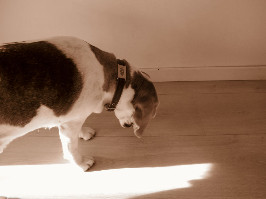 Nhiếp ảnh dễ thương: Nhìn Thế giới qua ống kính của cậu bé 19 tháng tuổi - Ảnh 19.