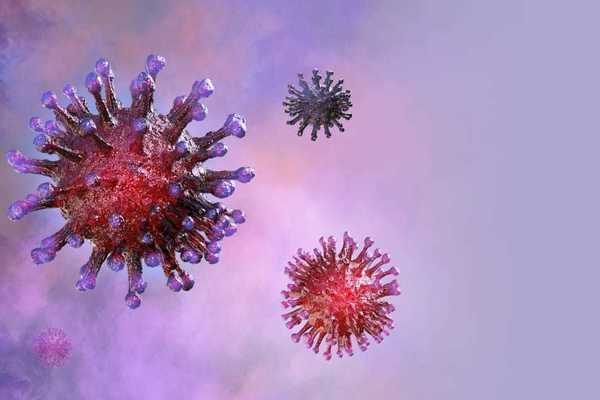 WHO công bố tên chính thức của virus gây bệnh Covid -19
