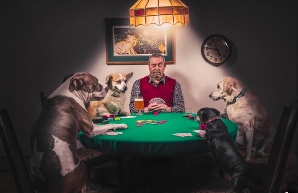 Những “kiệt tác” ra đời trong thời bị phong toả vì Covid-19