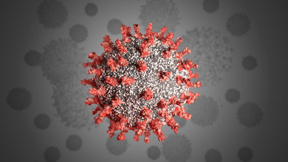 Virus corona gây đại dịch Covid-19 từ tự nhiên, không phải sản phẩm phòng thí nghiệm