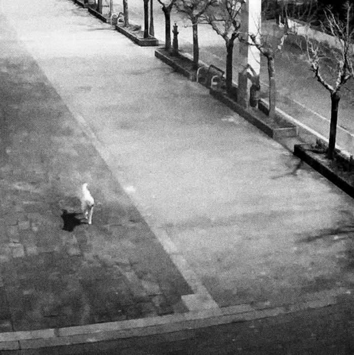 Yuval Noah Harari: 'Thế giới sẽ ra sao sau đại dịch coronavirus?'