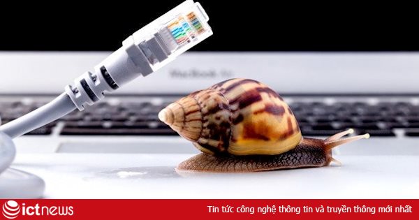 Covid-19 làm chậm tốc độ Internet ở Mỹ và Châu Âu