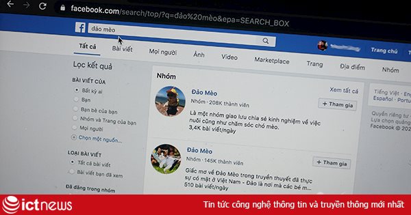 Nhóm Đảo mèo trên Facebook vì sao bị “bay mầu