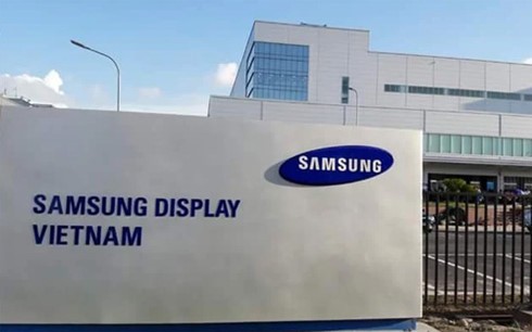 Bệnh nhân 262 làm ở Samsung tiếp xúc 40 người/ngày trên xe đưa đón