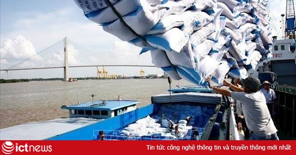 Mở hệ thống đăng ký tờ khai gạo tồn tại cảng trên hệ thống hải quan điện tử từ 25/4