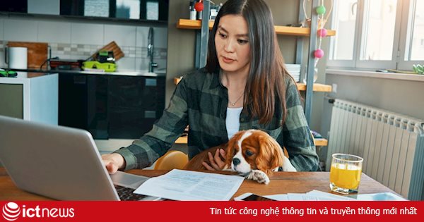 Mỹ: Nhiều người không muốn đến văn phòng sau thời gian làm tại nhà