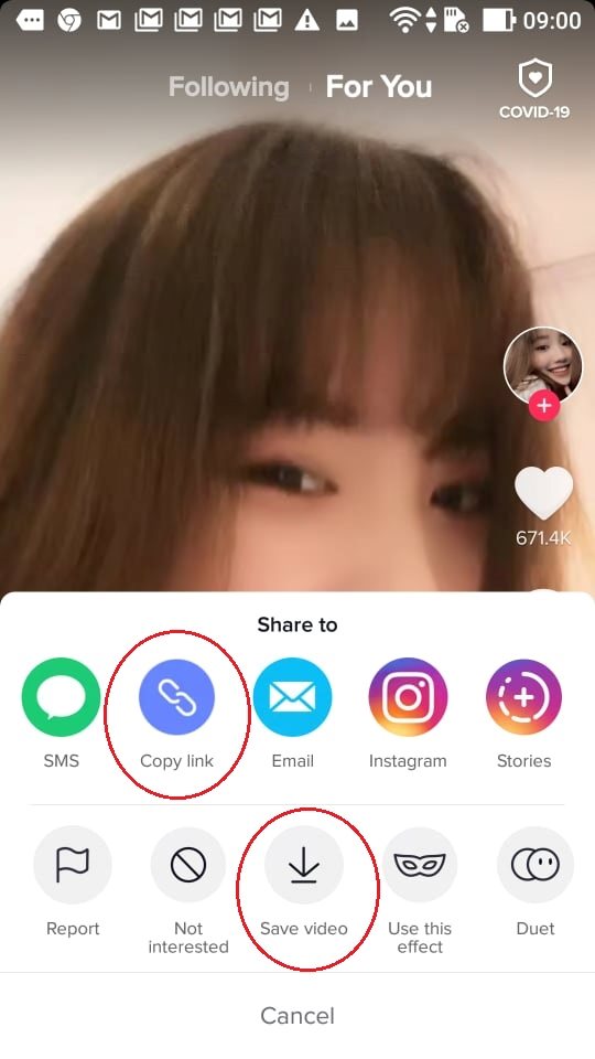 Tải Video Tiktok Về Máy Tính Dễ Dàng Với Cách Tiện Lợi 