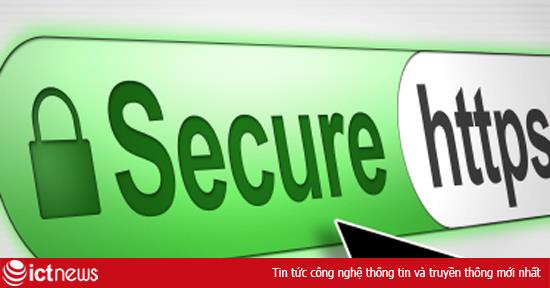 40% website Việt Nam 