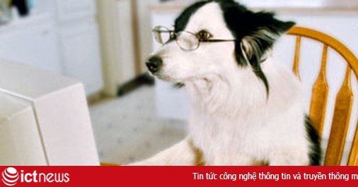 Mẫu CAPTCHA không cần CAPTCHA mới của Google