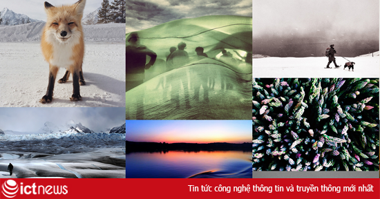 Ảnh đẹp nhất chụp từ iPhone không lạm dụng chỉnh sửa