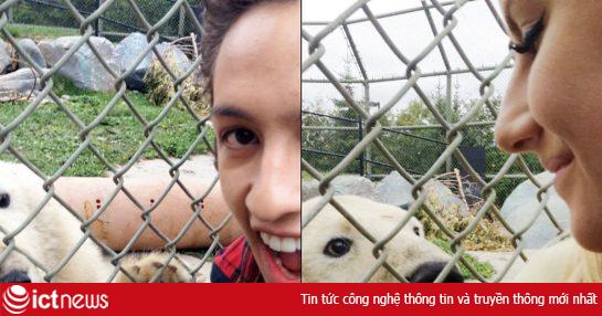 Cấm chụp ảnh tự sướng với gấu