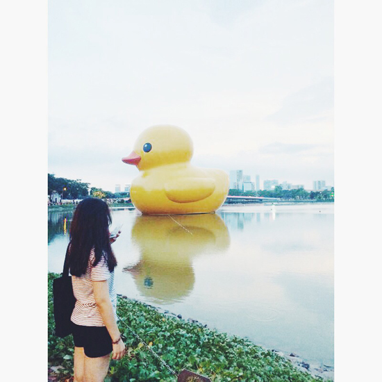 11-Gioi-tre-thi-nhau-khoe-anh-chup-voi-vit-khong-lo-Giant-Rubber-Duck.jpg