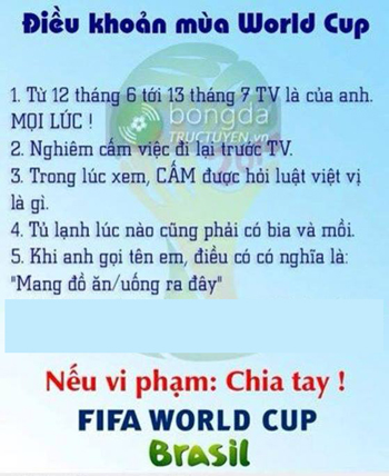 5-Anh-vui-nhon-mua-World-Cup-2014.jpg