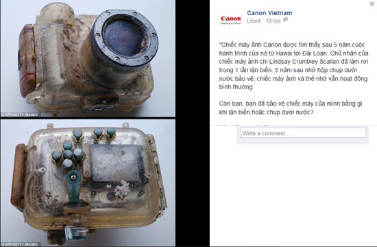 Máy ảnh Canon của chị Lindsay Crumbley Scallan sau 5 năm dưới đáy biển được tìm thấy, vẫn hoạt động.