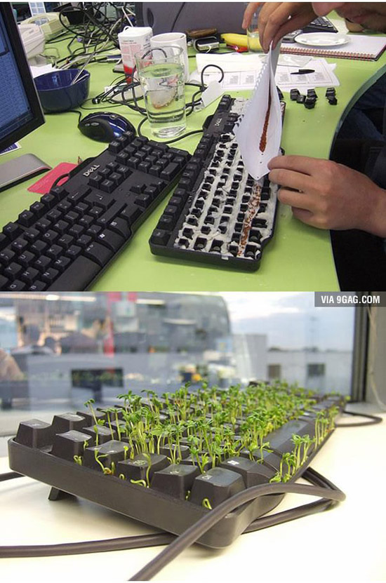 Ý tưởng quái chiêu cho ngày Cá Tháng Tư: trồng vườn trên bàn phím của bạn bè hoặc đồng nghiệp.
